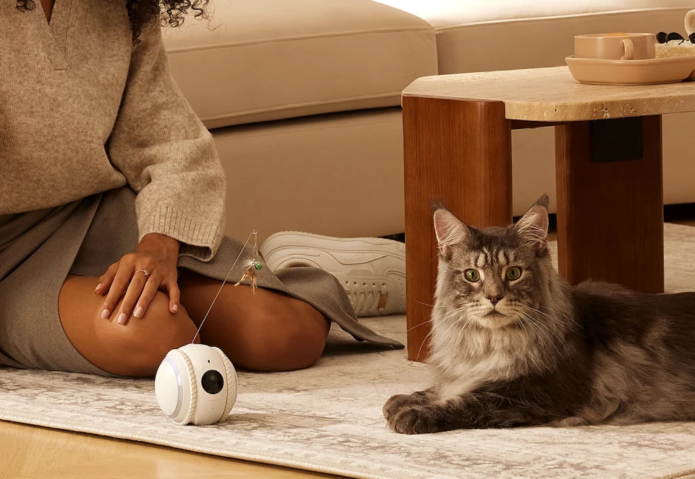 best pet surveillance camera