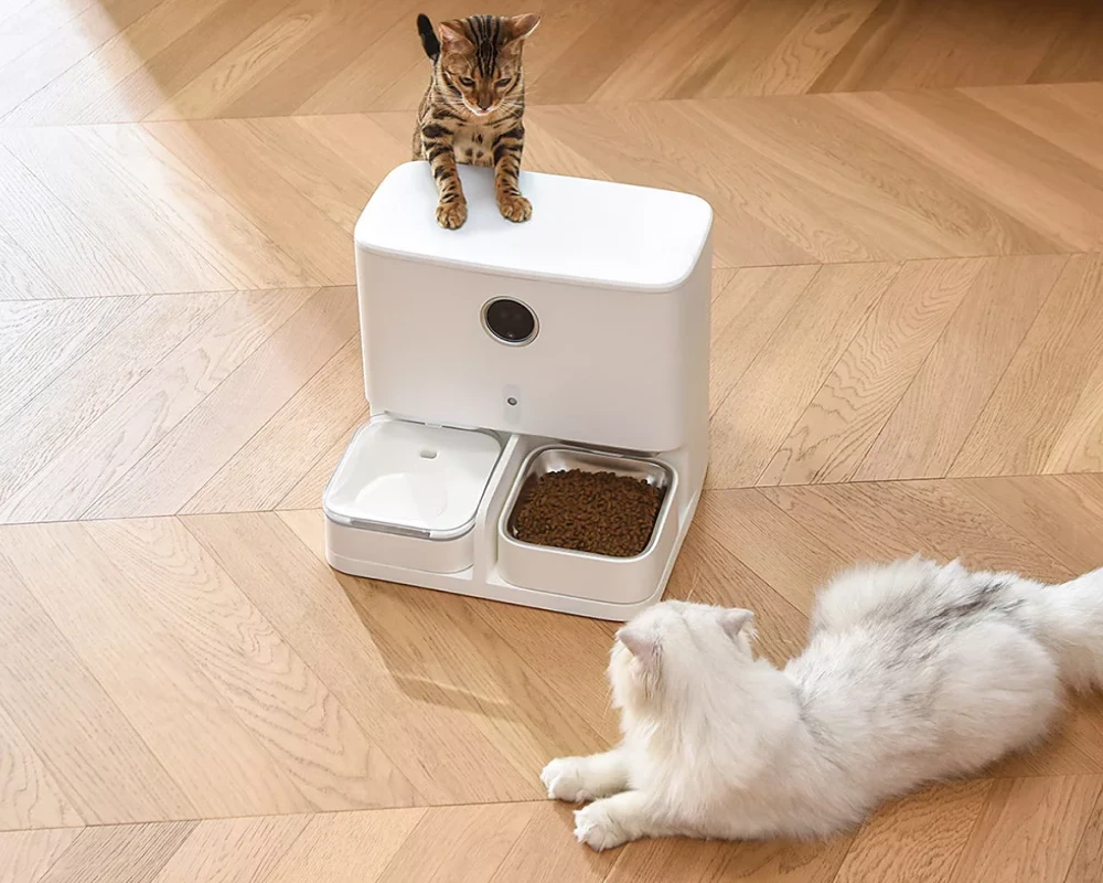 automatic dog feeder and water