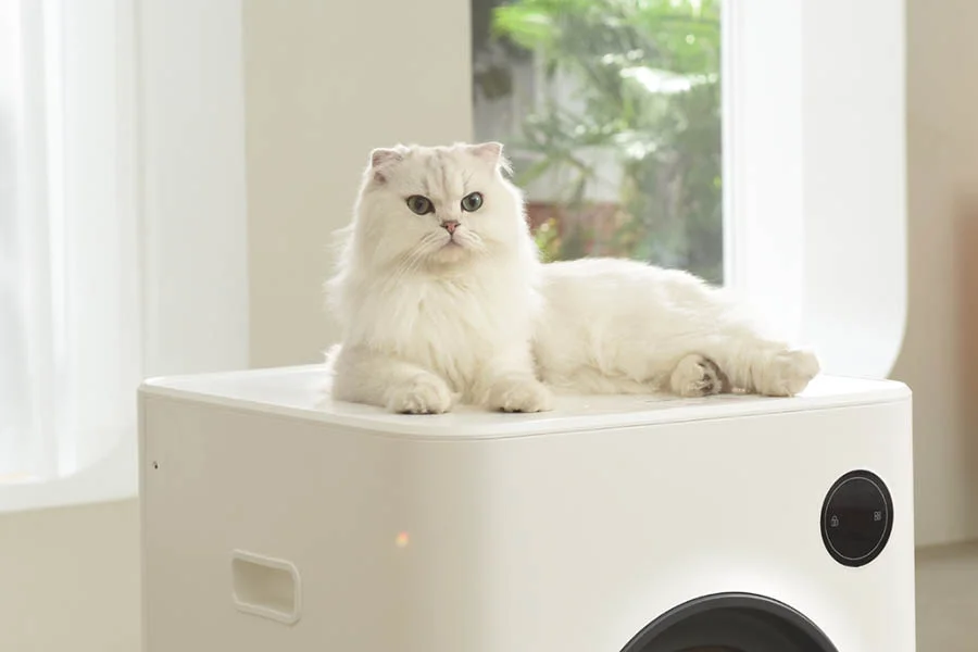 electronic cat box