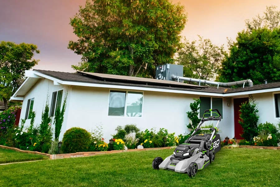 lawn mower for small lawns