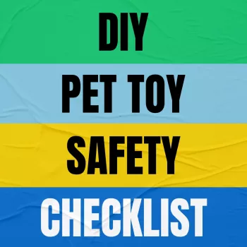 DIY Pet Toy Safety Checklist: Safe Materials & Design Tips